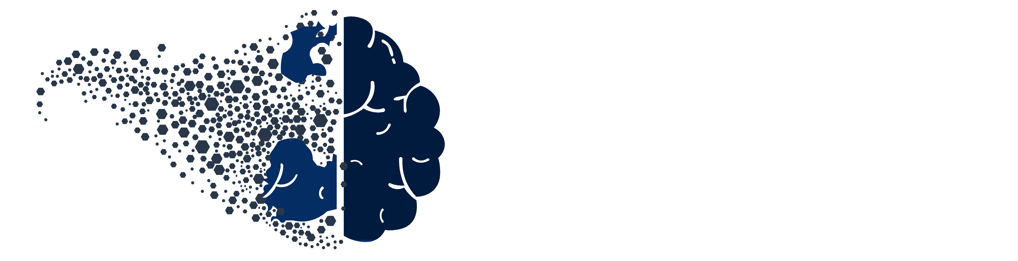 Brainswarm Robotics & AI 